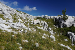 DSC07462