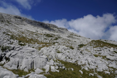 DSC07466