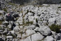 DSC07470