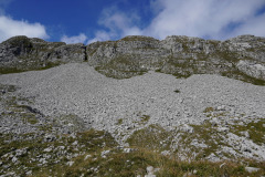 DSC07475
