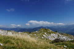 DSC07477