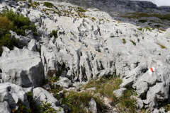 DSC07500