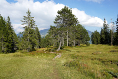 DSC07516