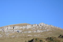 DSCN2465
