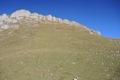 DSCN2472