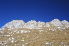DSCN2473