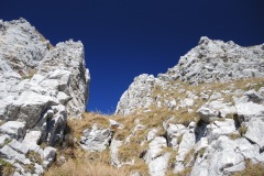 DSCN2474