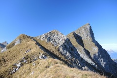 DSCN2483