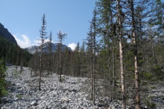 DSCN0789