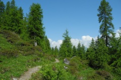 DSCN0795