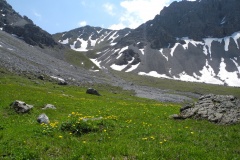 DSCN0800
