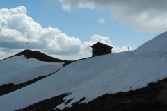 DSCN0817