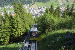 DSCN0823