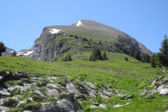 DSCN1809