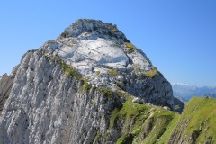 DSCN1063