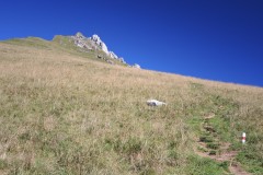 DSCN1100