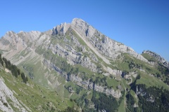 DSCN1101