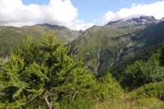 DSCN1965