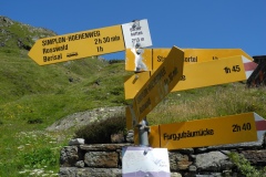 DSCN1991