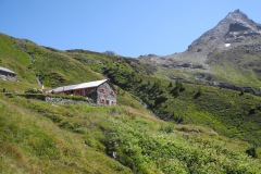 DSCN1992