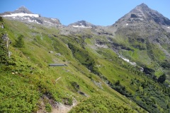 DSCN1994