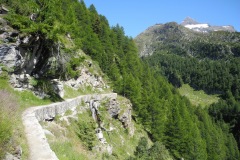 DSCN2001