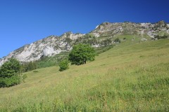 DSCN1630