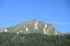 DSCN1635
