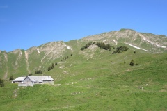 DSCN1639