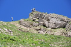 DSCN1646