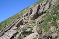 DSCN1647