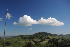 DSCN4498