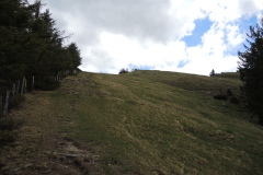 DSCN4504