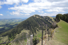 DSCN4524