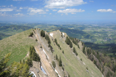 DSCN4529