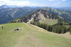 DSCN4530