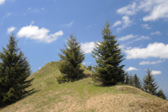 DSCN4540