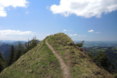 DSCN4541