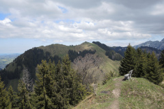 DSCN4542