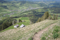 DSCN4557