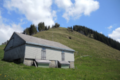 DSCN4558