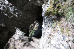 DSCN4560