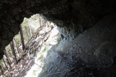 DSCN4561