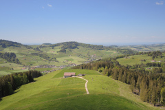 DSCN4562