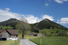 DSCN4566