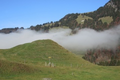 DSCN0291
