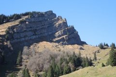DSCN0303
