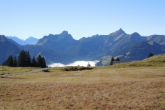 DSCN0306