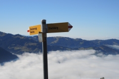 DSCN0310