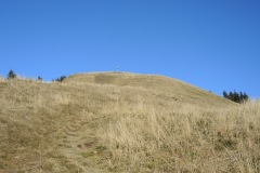 DSCN0313